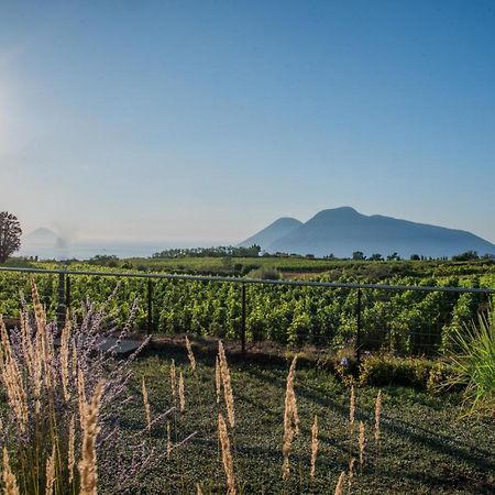 Tenuta Di Castellaro Winery & Resort Lipari  Exteriör bild