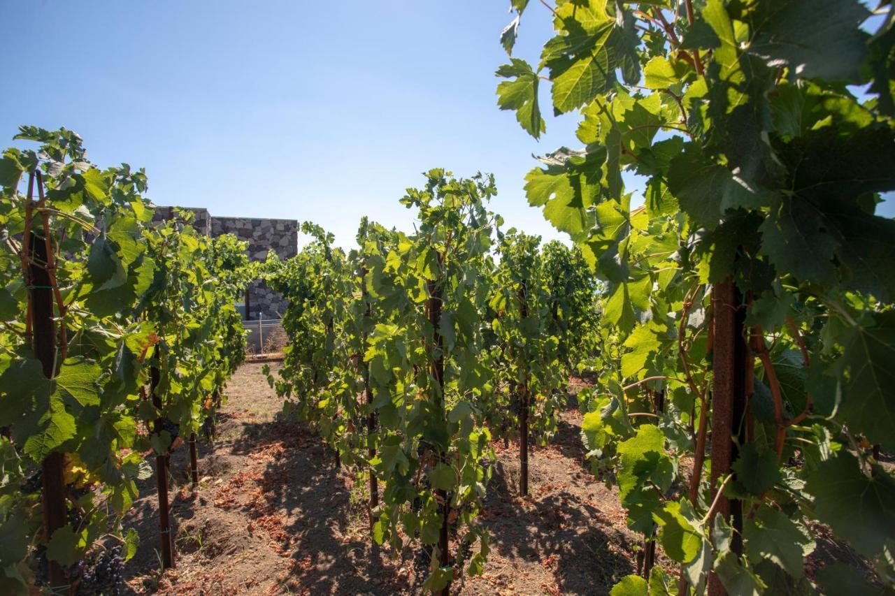 Tenuta Di Castellaro Winery & Resort Lipari  Exteriör bild